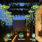 Solar Artificial Ivy Vine Light – Waterproof Hanging Plant for Garden, Balcony & Outdoor Decoration🌿☀️