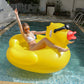 ⏰ 30% OFF – Limited Time Only✨ Large Yellow Duck Inflatable Pool Float