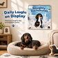 Naughty Dachshunds Dog Wall Calendar