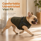 🧥 50% OFF NOW ✨ Warm Winter Dog Coat — Reflective Strips & Built-In Harness 🐾